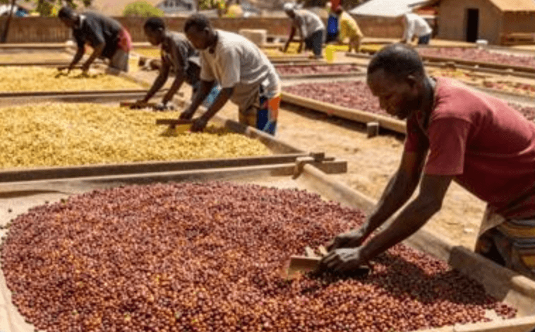 100% Arabica Heritage
